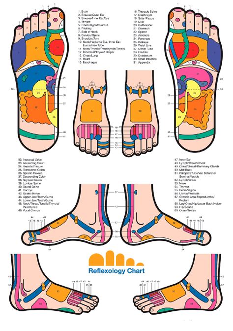 Map by Eunice Ingham: every organ in the body has its reflex point on the foot | Reflexology ...