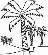 Palm Tree Coloring Pages To Print  Free Printable sketch template