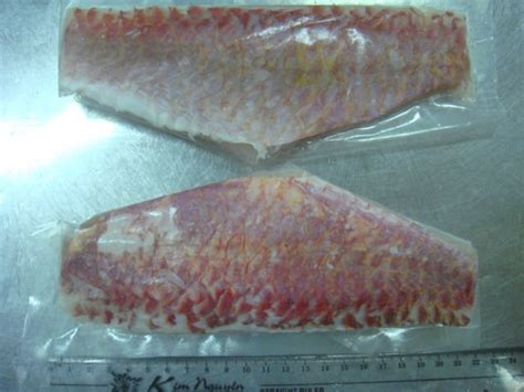 Frozen Red Snapper Fillets - Frozen Red Snapper, Red Snapper Fillets for Sale, Red Snapper ...