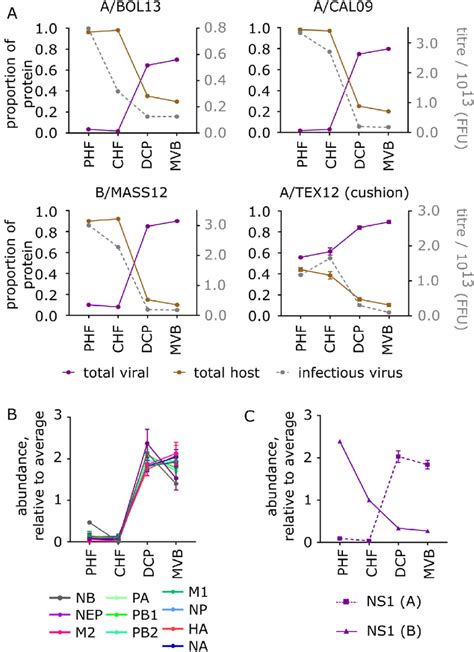 Viral protein abundance during LAIV purification. Influenza vaccine... | Download Scientific Diagram