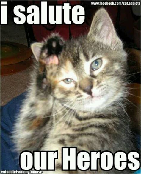Happy Veterans' Day | Cats, Funny cat memes, Funny cats