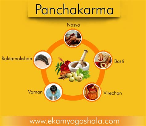 WHAT IS PANCHAKARMA? | Panchakarma treatment, Ayurvedic treatment, Infographic health