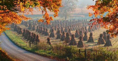 2015 October - Amish Country in Ohio by Doyle Yoder | Amish country ohio, Amish country, Autumn ...