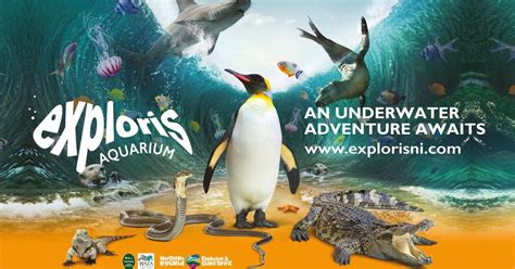 Aquarium Exploris | VisitBritain