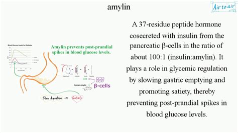 amylin - YouTube