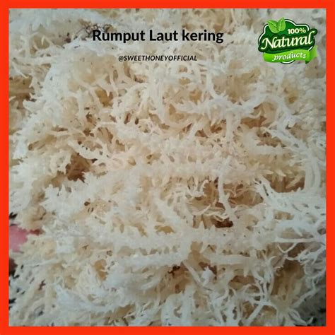 WA 081232306319 Rumput Laut Kering Spinosum Rumput Laut Cottoni Rumput Laut Putih Bahan Es dan ...