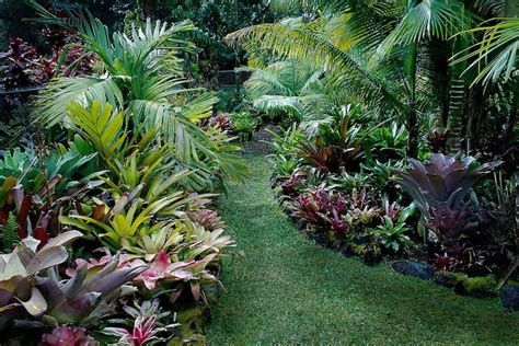 bromeliads in the garden southern california - Google Search | Tropical garden