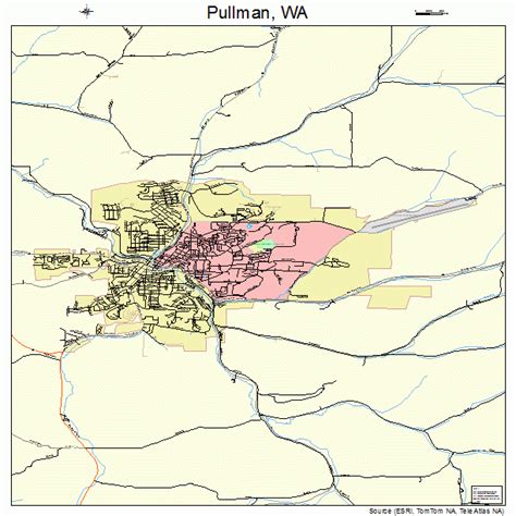 Pullman Washington Street Map 5356625