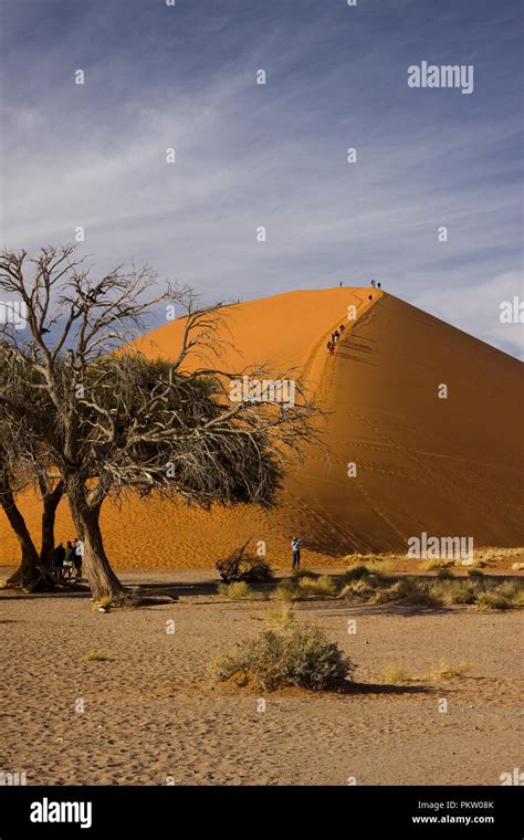 sossusvlei dunes in namibia Stock Photo - Alamy