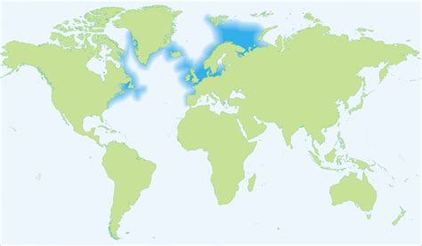 Overfishing of Atlantic Cod Likely Did Not Cause Genetic Changes : Newsroom