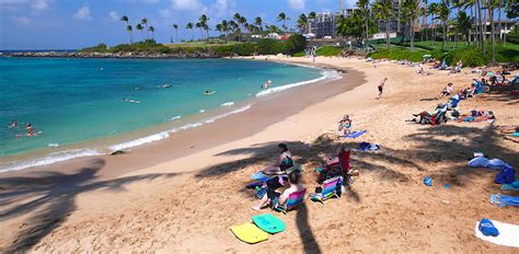 Snorkeling Kapalua Beach - Where To Find The Best Sea Life