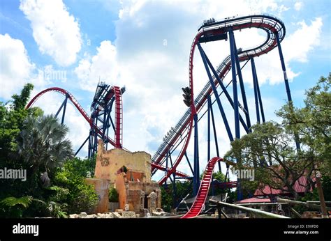 SheiKra roller coaster ride at Busch Gardens, Tampa, Florida, USA Stock ...