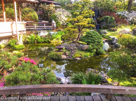 Destination: Japanese Tea Garden - Cooking with a Wallflower