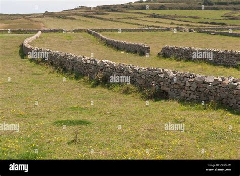 Extensive over farming of the land caused the nutrients to be leached out dry stone walls mark ...