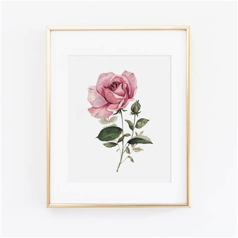 Watercolor Rose Print Watercolor Pink Rose Painting Rose - Etsy