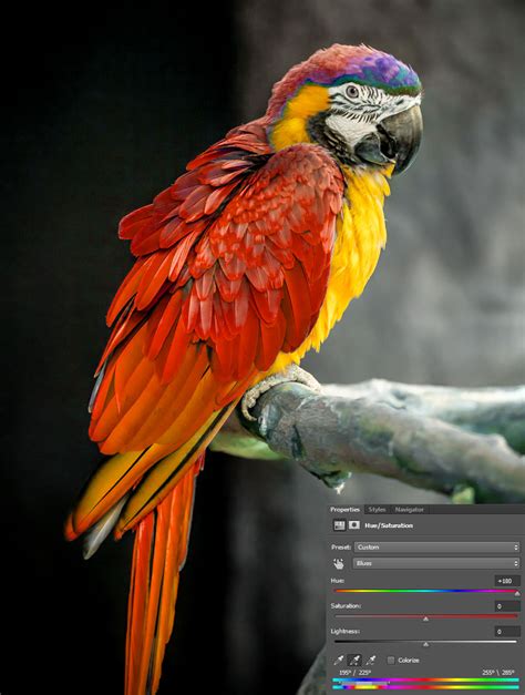 How to Adjust Specific Colors with Hue & Saturation Adjustment Layers ...