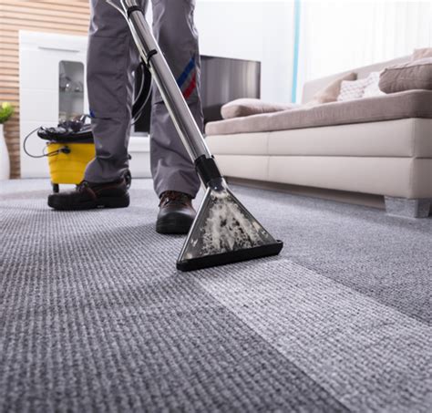 Carpet Cleaning | Best Carpet Steam & Dry Cleaning | 365 Cleaners