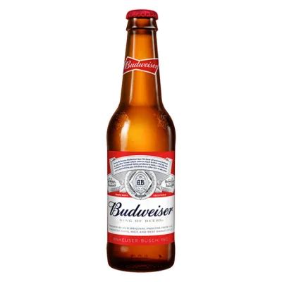 Best Beer Brands in India [January, 2024]