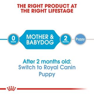 Royal Canin STARTER MOUSSE Can MOTHER & BABY DOG 195g Wet inCan SPT ...