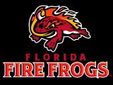 Florida Fire Frogs