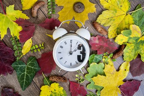 Fall Back Time Change.Two Clocks On Autumn Leaves Background Stock Image - Image of autumnal ...