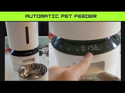 PETLIBRO Automatic Pet Feeder Setup & Review! - YouTube