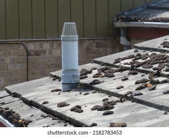 Soil Vent Pipe On Pitched Roof Stock Photo 2182783453 | Shutterstock