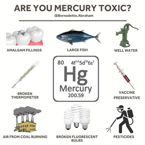 Are You Mercury Toxic? - Bernadette Blog