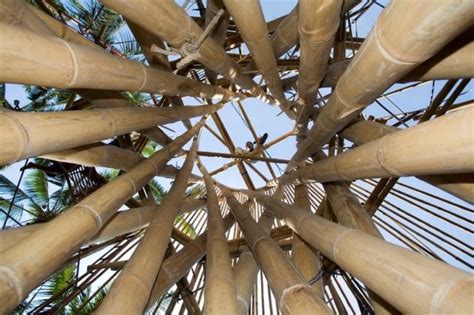 IBUKU is pioneering the use of bamboo as a sustainable building ...