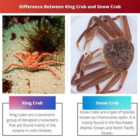 King Crab vs Snow Crab: Difference and Comparison