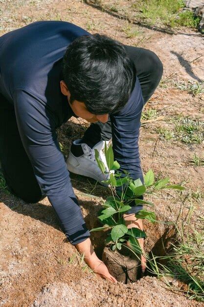 Premium Photo | Comprehensive guide to understanding soil composition and nutrient dynamics for ...