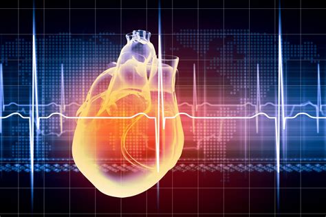 Heart Rhythm Diagnosis and Treatment - Clearwater Cardiovascular Consultants