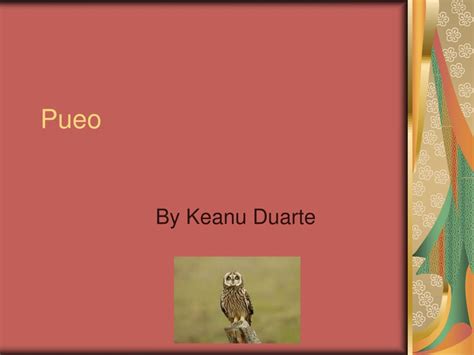 PPT - Pueo PowerPoint Presentation, free download - ID:4755635