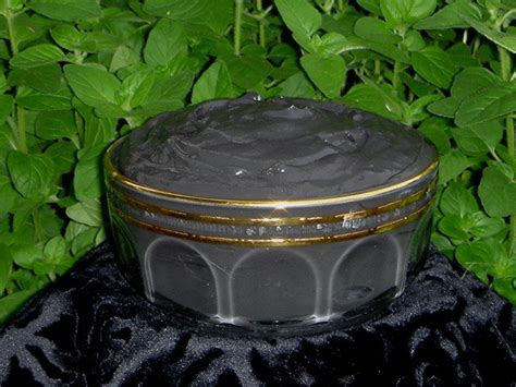 Dead Sea Mineral Mud - 20 lbs. - Special Clay Inc.