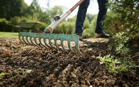 Essential Home Gardening Tools & Their Uses | Zameen Blog