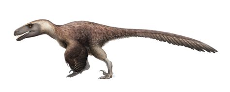 Utahraptor (Not playable yet) | Prehistoric animals, Dinosaur art, Prehistoric