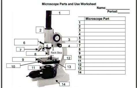 guys please my homework in science microscope parts and use worksheet ...