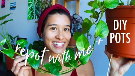 Repot Plants with Me + DIY Self Watering Planters - YouTube