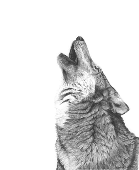 Wolf Art Print, Hand Drawn Wildlife Wall Art, Howling Wolf Pencil Drawing, Western Wildlife Wall ...