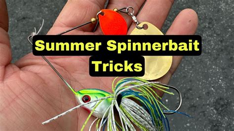 Super Shallow Summer Spinnerbait Techniques That Work… - YouTube