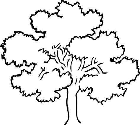 SVG > tree maple oak - Free SVG Image & Icon. | SVG Silh