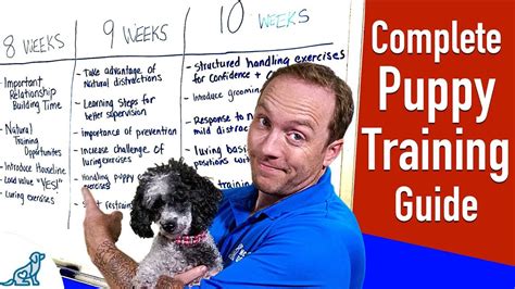 Your Complete Puppy Training Schedule By Age - YouTube | Puppy training ...