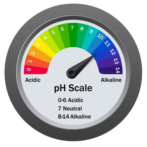 What Is Soil pH and Why Does It Matter? - Gardening @ From House To Home