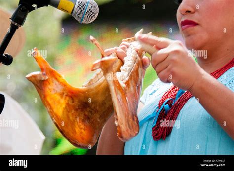 Mexican musician uses horse's jawbone as percussion instrument at Stock Photo: 48146175 - Alamy