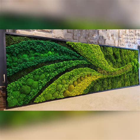 Moss Wall Art. Moss Wall. Greenwall. Moss Frame. Preserved - Etsy