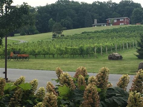 Clover Hill Vineyards & Winery (Breinigsville) - 2020 All You Need to Know BEFORE You Go (with ...