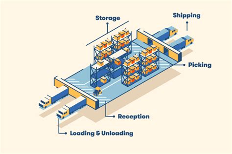 The Importance of a Well-Structured Warehouse in the Logistics Process