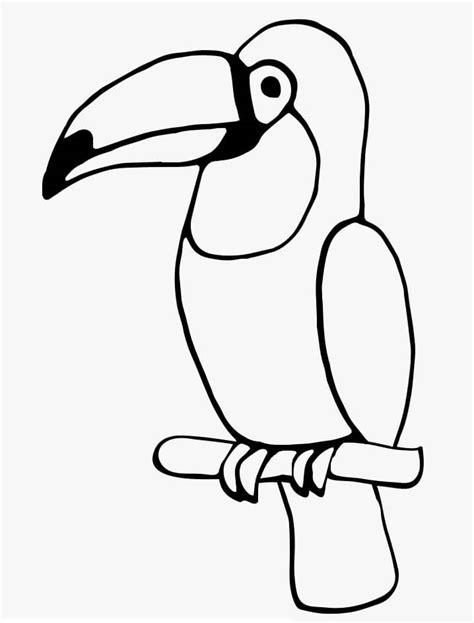 Rainbow Billed Toucan Coloring Pages