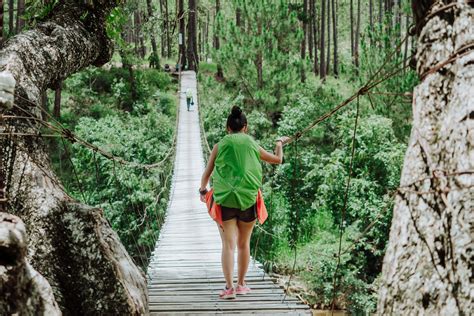 El turismo sostenible es clave para la protección del medio ambiente ...