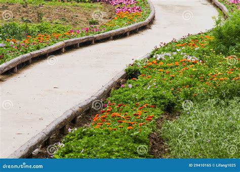 Road and flower stock image. Image of flower, yellow - 29410165